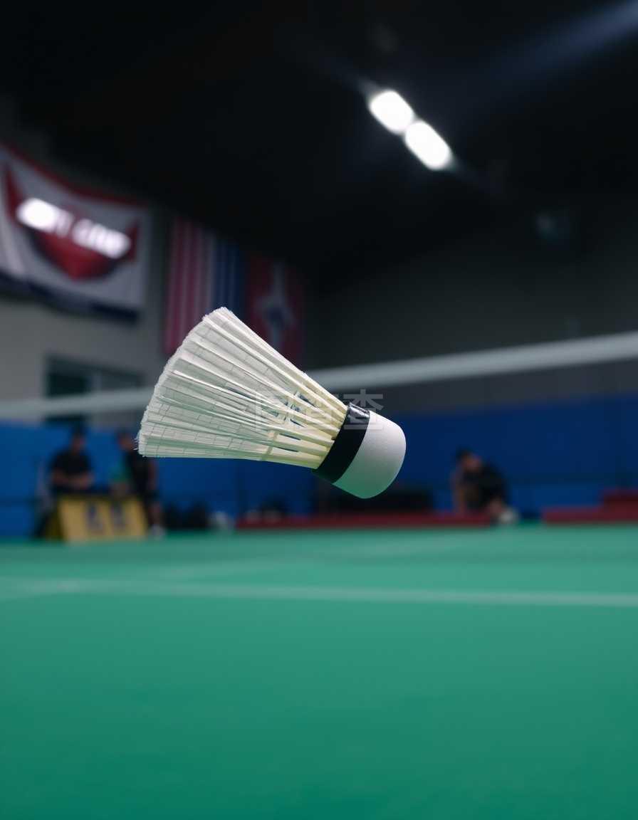 这一成功案 这一成功案